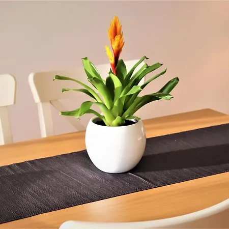 Apartment Deluxe *
